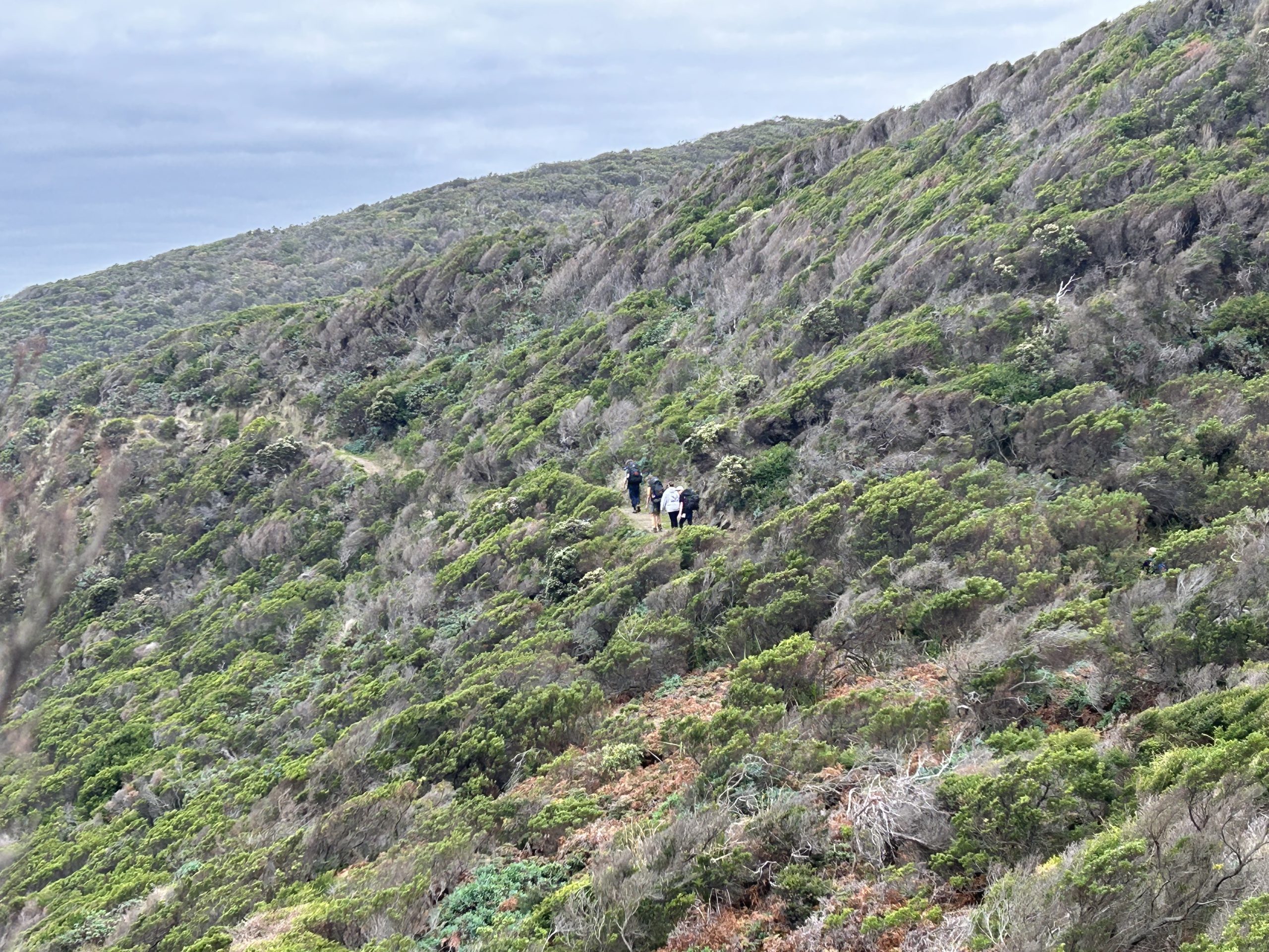 Students Shine on Outdoor Ed Overnight Hike | Melton Christian College